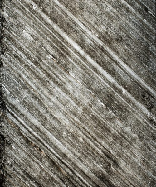 feuilles de pierre